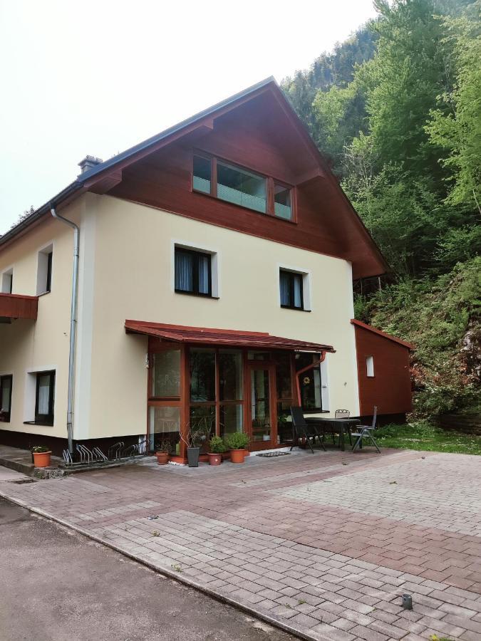 Seeblick Krippenstein Obertraun Eksteriør billede